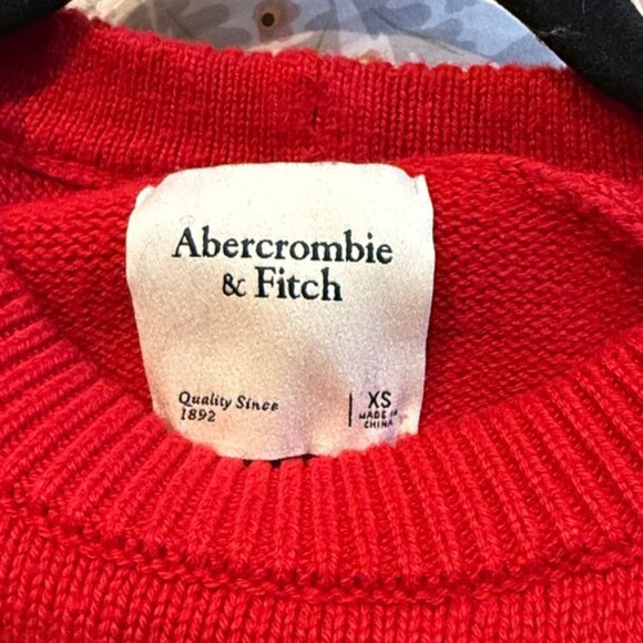 Abercrombie & Fitch Vibrant Red Crew Neck Sweater Thick Knit..OVERSIZED - Picture 3 of 3